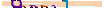 animated captcha