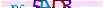 animated captcha