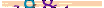 animated captcha